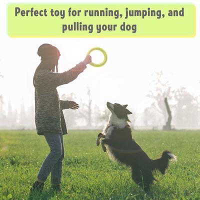 Show full view: PetSpy Fitness Ring Dog Toy, Green, Large, 1 count slide 5 of 8