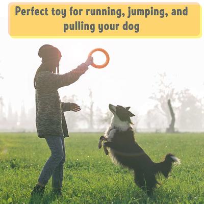 Show full view: PetSpy Fitness Ring Dog Toy, Orange, Green, Large, 2 count slide 6 of 9
