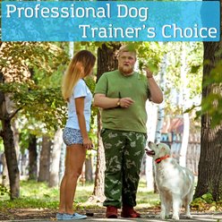 PetSpy M686 3300-ft Premium Remote Dog Training Collar, 2 collars slide 2 of 8