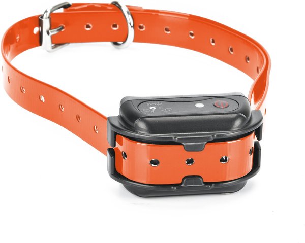 Show full view: PetSpy M919 Premium 1/2 Mile Range Remote Dog Training Collar, 1 collar slide 3 of 12