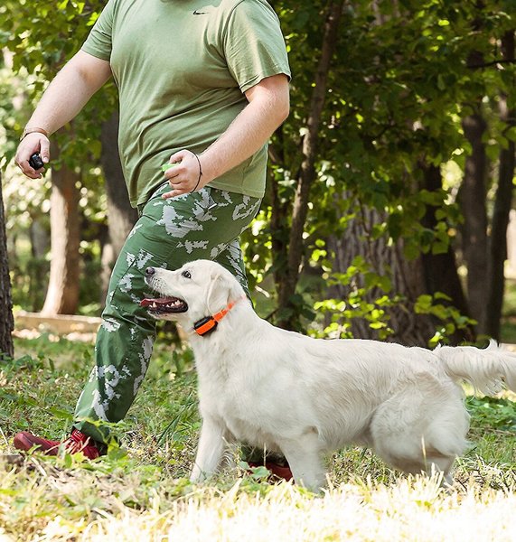 Show full view: PetSpy M919 Premium 1/2 Mile Range Remote Dog Training Collar, 1 collar slide 9 of 12