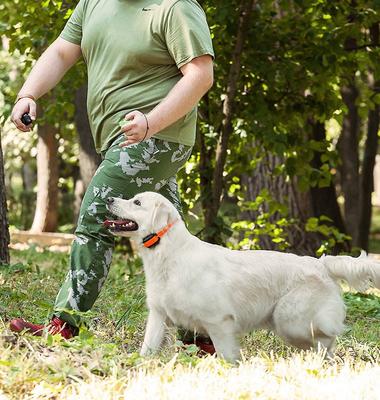 Show full view: PetSpy M919 Premium 1/2 Mile Range Remote Dog Training Collar, 1 collar slide 10 of 13