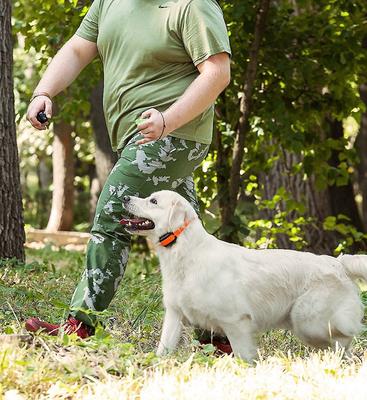 Show full view: PetSpy M919 Premium 1/2 Mile Range Remote Dog Training Collar, 2 collars slide 9 of 12