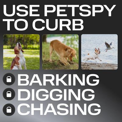 Show full view: PetSpy N10 Ultrasonic Dog Barking Deterrent, Black slide 5 of 9