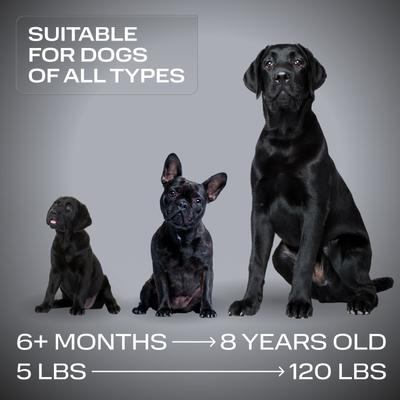 Show full view: PetSpy N10 Ultrasonic Dog Barking Deterrent, Black slide 6 of 9