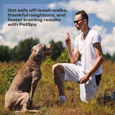 Show full view: PetSpy N10 Ultrasonic Dog Barking Deterrent, Black slide 8 of 9