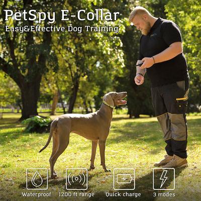 Show full view: PetSpy P320 1200-ft Static Remote Dog Training Collar slide 4 of 8