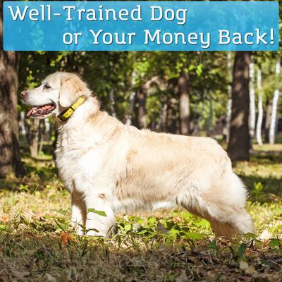 Show full view: PetSpy P320 1200-ft Static Remote Dog Training Collar slide 7 of 8