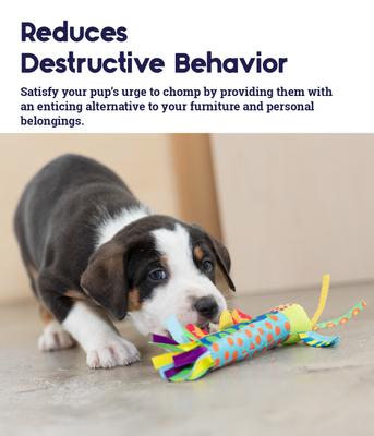 Show full view: Petstages Cool Teething Stick Tough Dog Chew Toy slide 4 of 10