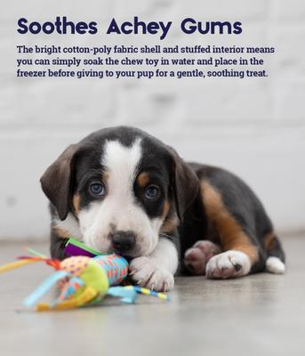 Show full view: Petstages Cool Teething Stick Tough Dog Chew Toy slide 3 of 10