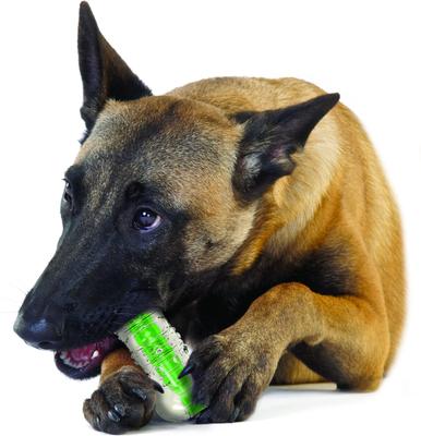 Show full view: Petstages Crunch A Chew Tough Dog Chew Toy, Large slide 6 of 10