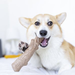 Petstages Dogwood Tough Dog Chew Toy, Large