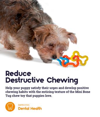 Show full view: Petstages Mini Bone Tug Dog Chew Toy slide 5 of 8