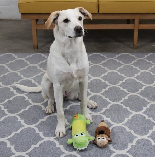 Petstages Stuffing-Free Floppy Shark Dog Toy - With 3 Squeakers & Crinkle Sound - View #8