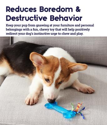 Show full view: Petstages Orka Bone Tough Dog Chew Toy, Mini slide 3 of 10