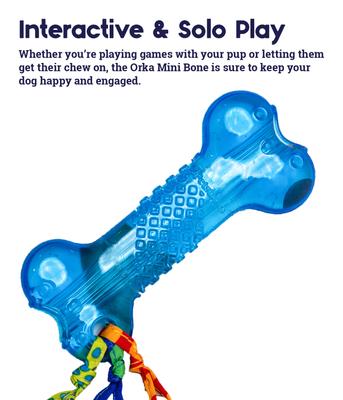 Show full view: Petstages Orka Bone Tough Dog Chew Toy, Mini slide 4 of 10