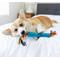 Show in main carousel: Petstages Orka Stick Tough Dog Chew Toy, Regular slide 4 of 6