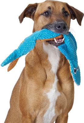 Show full view: Petstages Stuffing-Free Floppy Shark Plush Dog Toy, Large, Blue, Large slide 7 of 9