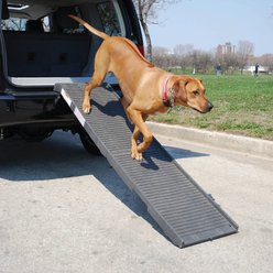 PetSTEP Folding Pet Ramp, Graphite