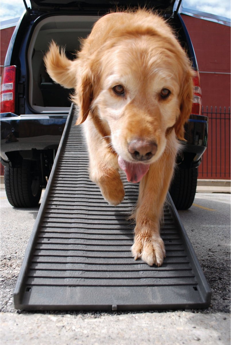 PetSTEP Folding Pet Ramp