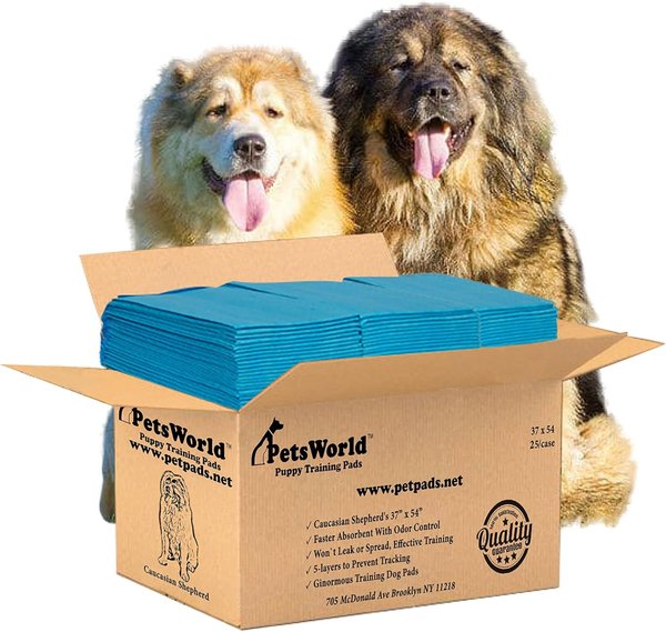 Show full view: PetsWorld 3X-Large Dog Training & Potty Pads, 37 x 54-in, Unscented, 25 count slide 1 of 8