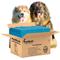 Show in main carousel: PetsWorld 3X-Large Dog Training & Potty Pads, 37 x 54-in, Unscented, 25 count slide 1 of 8
