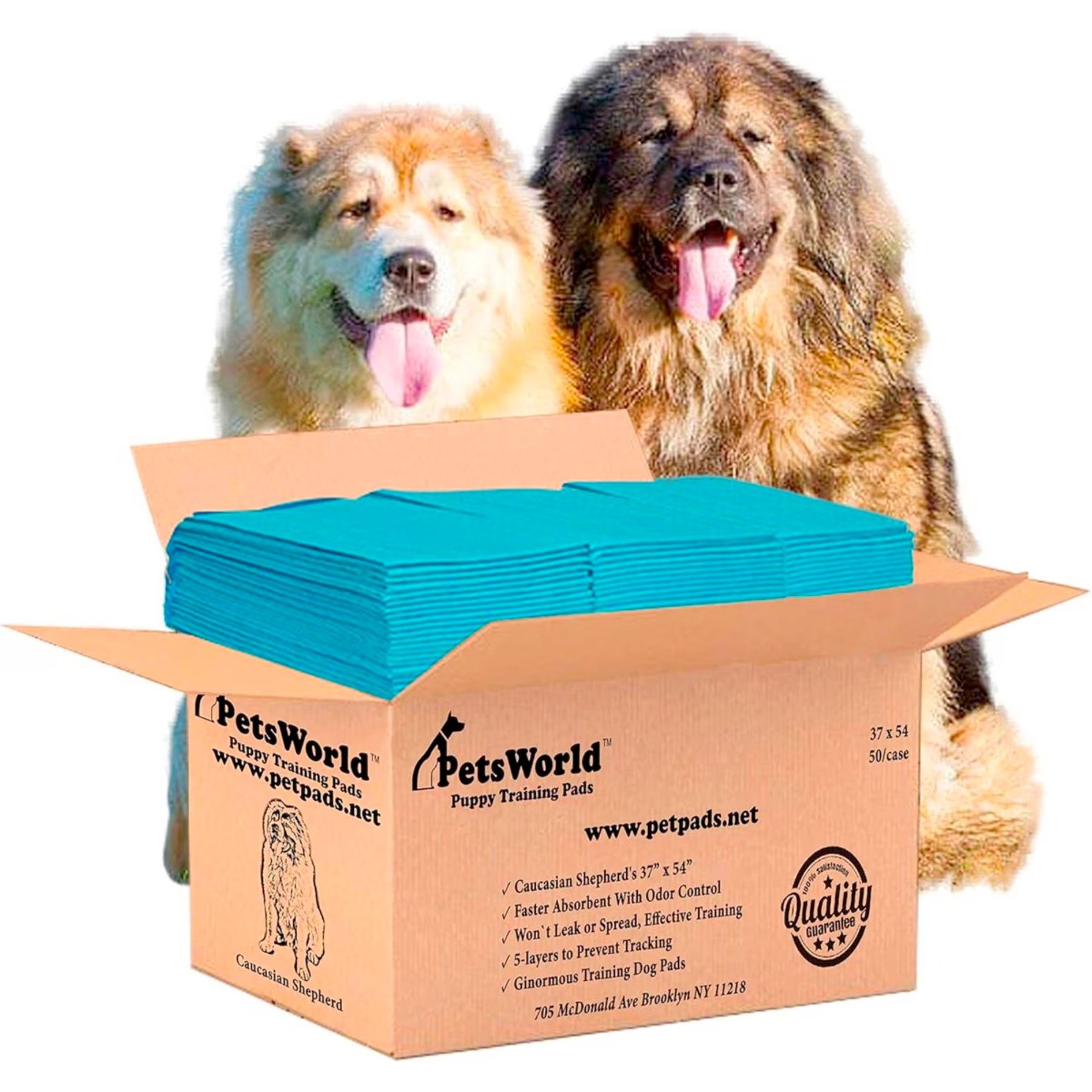PetsWorld 3X-Large Dog Training & Potty Pads, 37 x 54-in, Unscented, 50 count