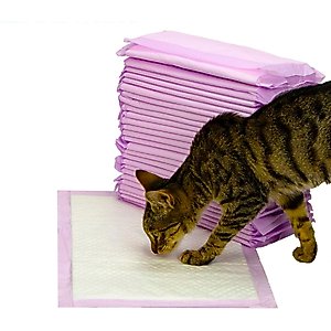 PetsWorld Breeze Compatible Fresh Scented Cat Litter Pads, 100 count
