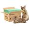 Show in main carousel: PetsWorld Litter Box Systems Multi-Cat Litter Pads, Unscented, 25 count slide 1 of 6
