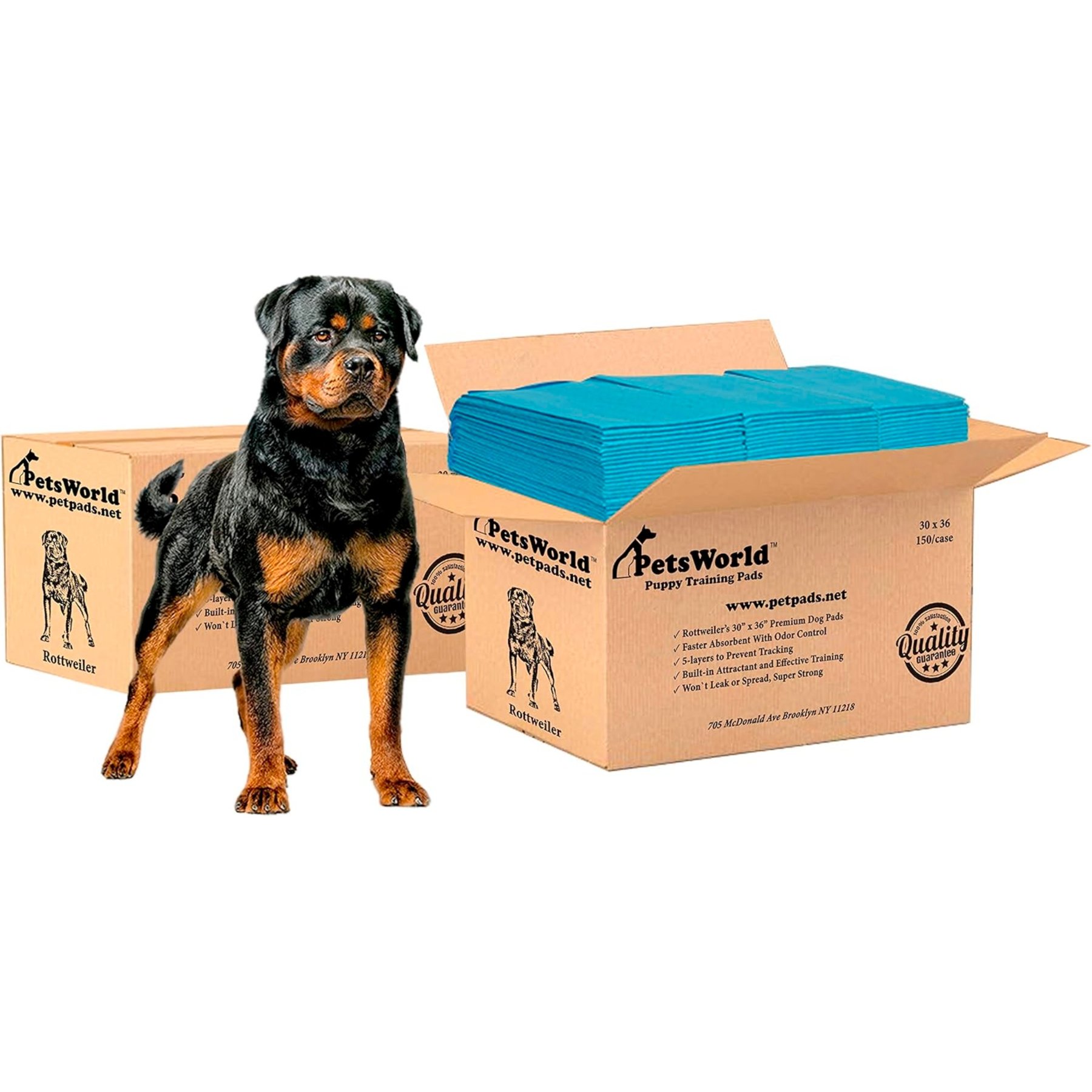 PetsWorld X-Large Dog Training & Potty Pads, 30 x 36-in, Unscented, 300 count