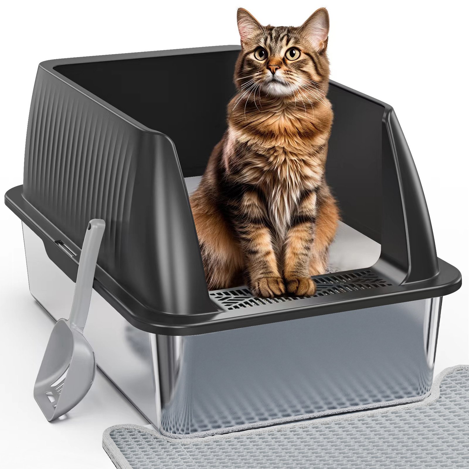 best wet cat food brands Paté with Tuna & Sardine Wet Food for Cats | Grain Free Wet Cat Food main image 1