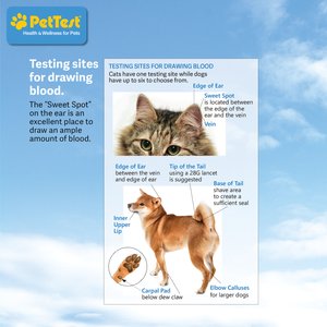 PetTest Blood Glucose Test Strips for Dogs & Cats, 50 strips