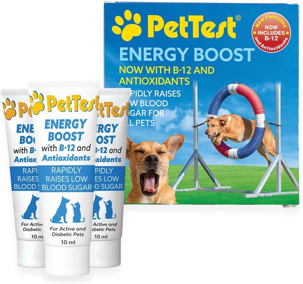 Sugar Levels Type One Diabetes Service Dog 10+ Hundred Diabetes