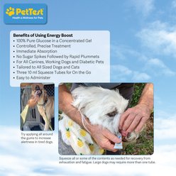 PetTest New Energy Boost Diabetic with B12 & Antioxidants Glucose Control Solution for Dogs & Cats, 10-ml tube, 3 count slide 2 of 7