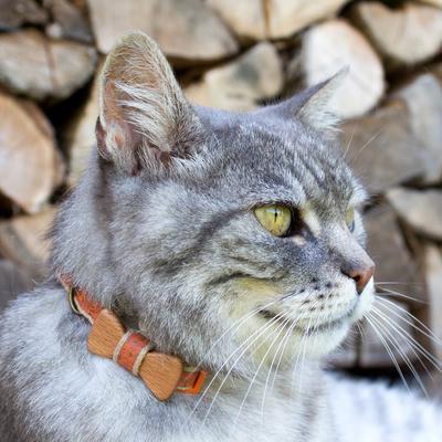 Show full view: Pettsie Bow Tie Cotton Breakaway Cat Collar with Friendship Bracelet, Orange, 8 to 11-in neck, 3/8-in wide slide 4 of 7