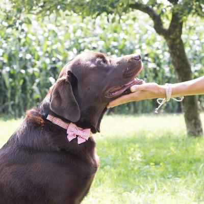 Show full view: Pettsie Cotton Bow Tie Standard Dog Collar, Pink, Small slide 3 of 10