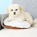 PetZu Heartbeat Dog Pillow, Chocolate/White