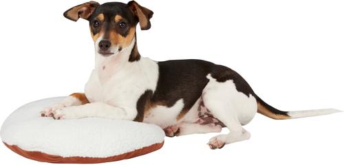Show full view: PetZu Heartbeat Dog Pillow, Chocolate/White slide 5 of 11