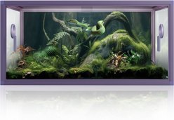 Phailozoo 50 Gallon Reptile Tank, Royal Purple
