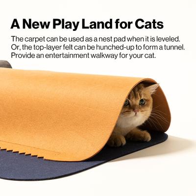 Show full view: Pidan Catube Carpet Tunnel Cat Toy, Large, 2 count slide 8 of 12
