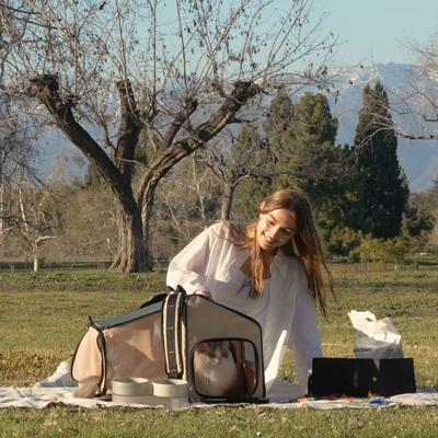 Show full view: Pidan Expandable Travel Habitat Backpack Cat Carrier, Large slide 3 of 12