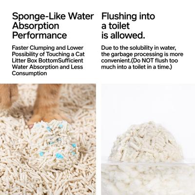 Show full view: Pidan Tofu with Occult Blood Test Particles Cat Litter, 5.29-lb bag, 4 count slide 9 of 10