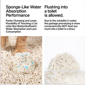 Pidan Tofu with Occult Blood Test Particles Cat Litter, 5.29-lb bag