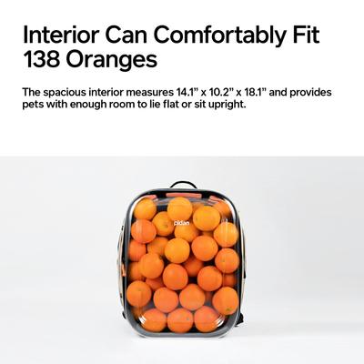 Show full view: Pidan Travel Window Backpack Cat Carrier, Large slide 3 of 10