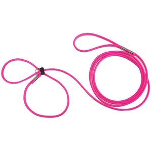 Piggy Poo and Crew 12' Adjustable Mini Pig Harness & Leash, Pink