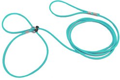 Piggy Poo and Crew 12' Adjustable Mini Pig Harness & Leash, Teal