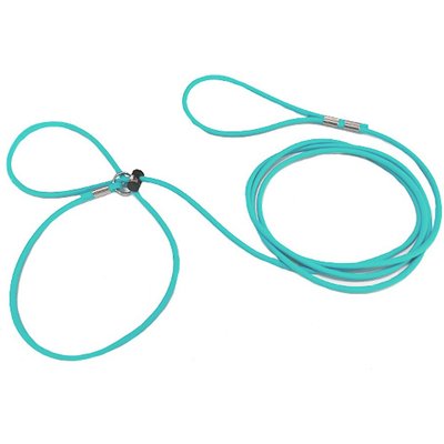 Piggy Poo and Crew Piggy Poo and Crew 12' Adjustable Mini Pig Harness & Leash, Teal
