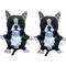 Show in main carousel: Piggy Poo and Crew Boston Terrier Paper Crinkle Squeaker Toy, 2 count slide 1 of 6