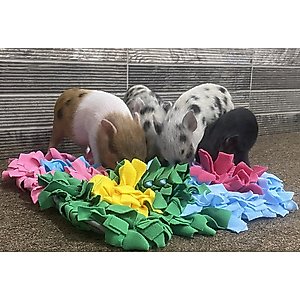 Piggy Poo and Crew Colorful Activity Snuffle Mat