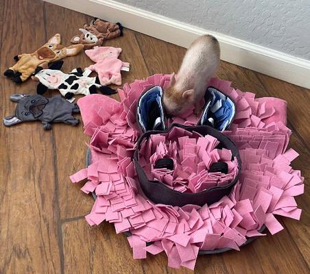 Show full view: Piggy Poo and Crew Custom Pig Face Rooting Snuffle Pig Mat, 18 x 20-in slide 2 of 5